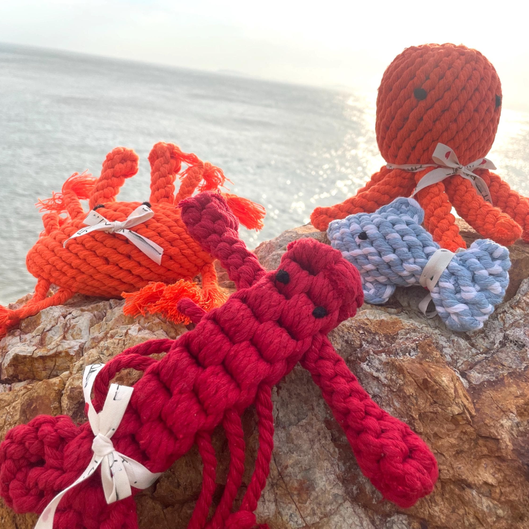 Ocean Pals Rope Toys: Happy The Crab