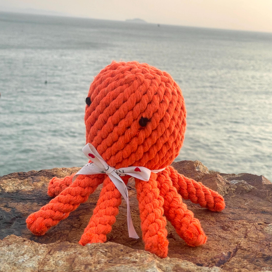 Ocean Pals Rope Toys: Octopus | Large