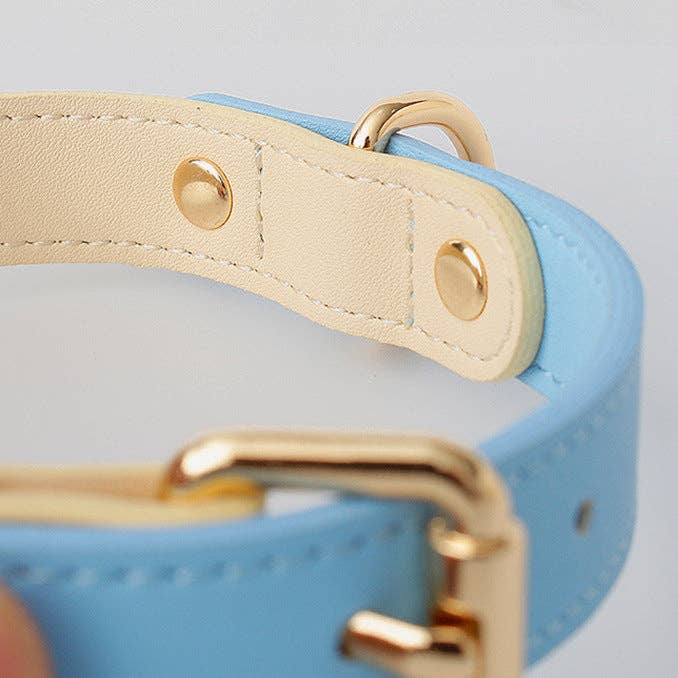 Leather Dog Collar: Blue Sherbert / L