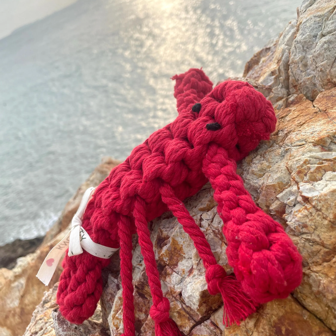 Ocean Pals Rope Toys: Happy The Crab