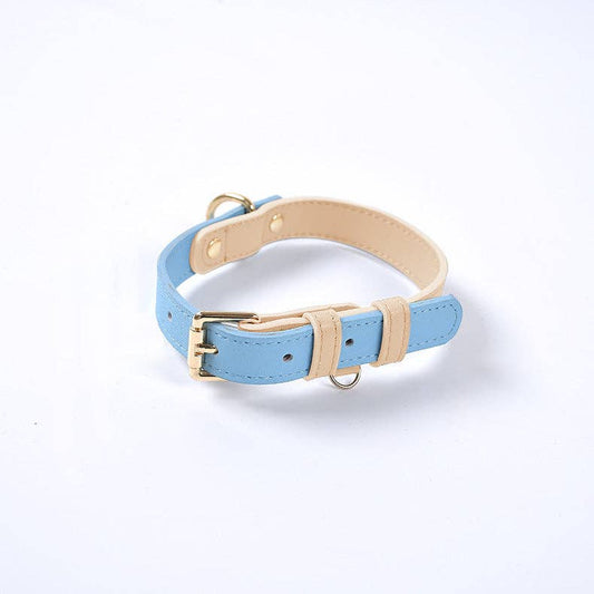 Leather Dog Collar: Blue Sherbert / L