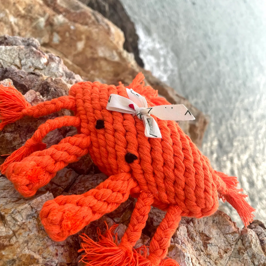 Ocean Pals Rope Toys: Happy The Crab