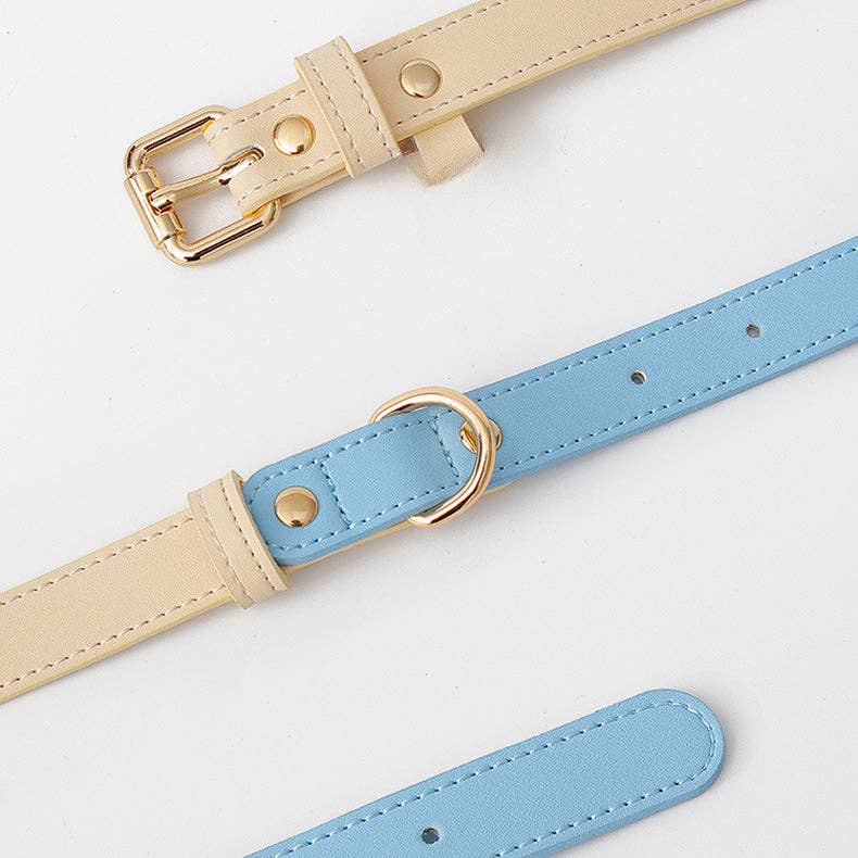 Leather Dog Collar: Blue Sherbert / L