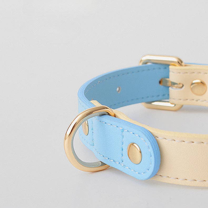 Leather Dog Collar: Blue Sherbert / M