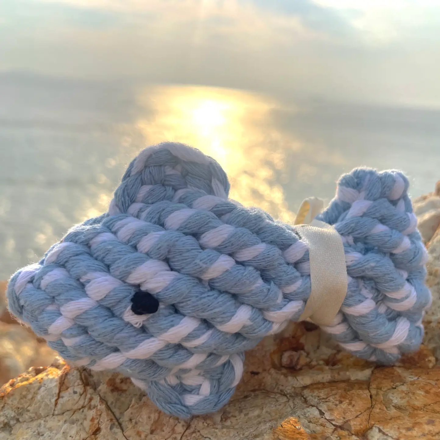 Ocean Pals Rope Toys: April the Fish | Small
