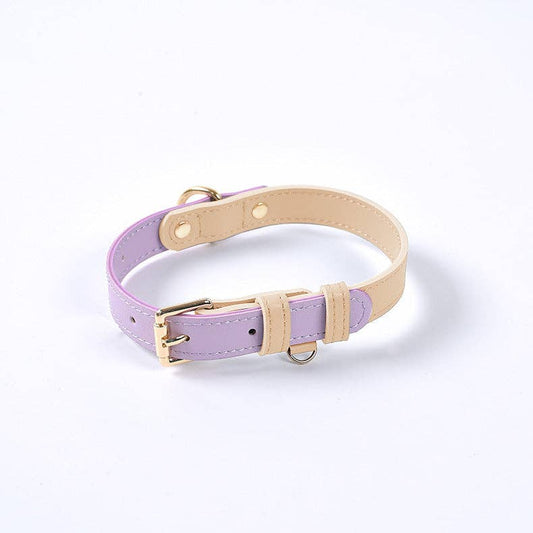 Leather Dog Collar: Purple Sherbert / L
