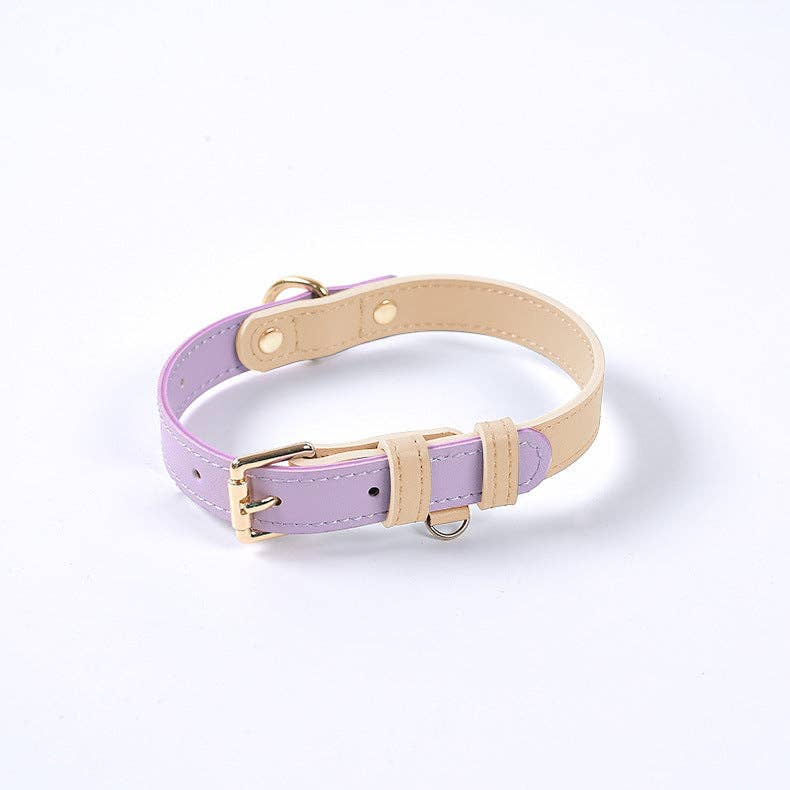 Leather Dog Collar: Blue Sherbert / L