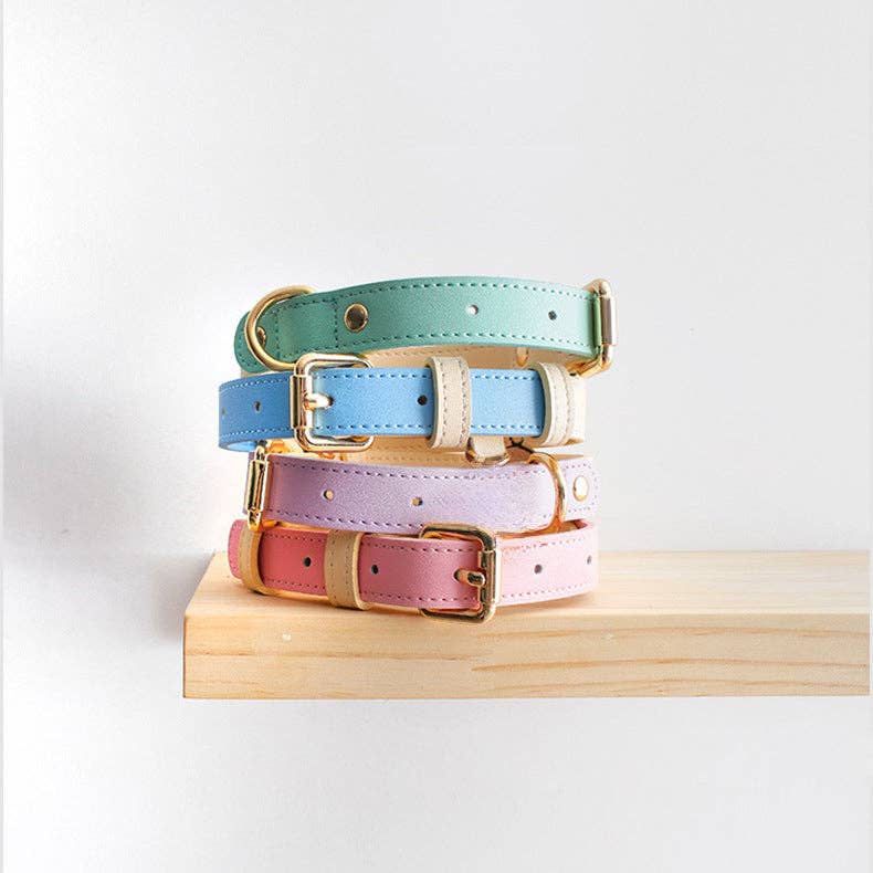 Leather Dog Collar: Blue Sherbert / L