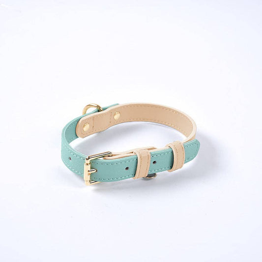 Leather Dog Collar: Mint Sherbert / M