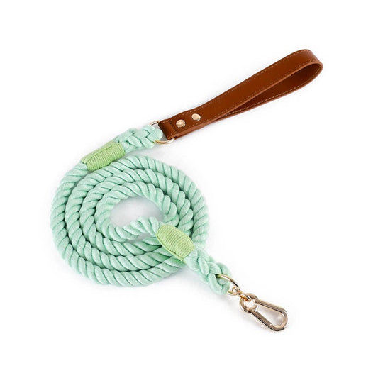 Braided Dog Leash: Mint / L